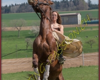 1AMAZONE- 0562